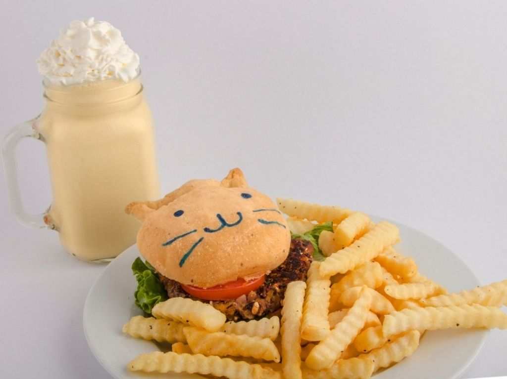 Catfectio cafetería de gatos, Cafeterías bonitas en cdmx