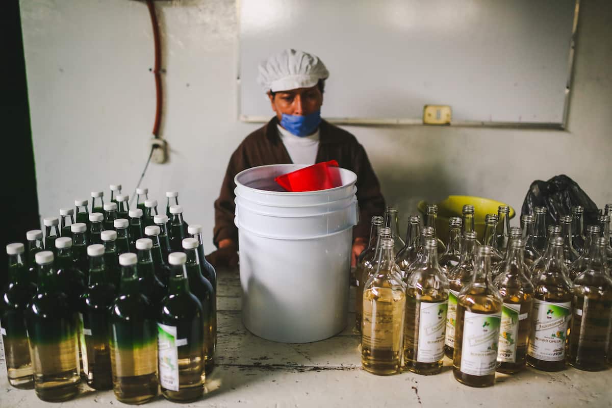 dónde tomar sidra en Zacatlán