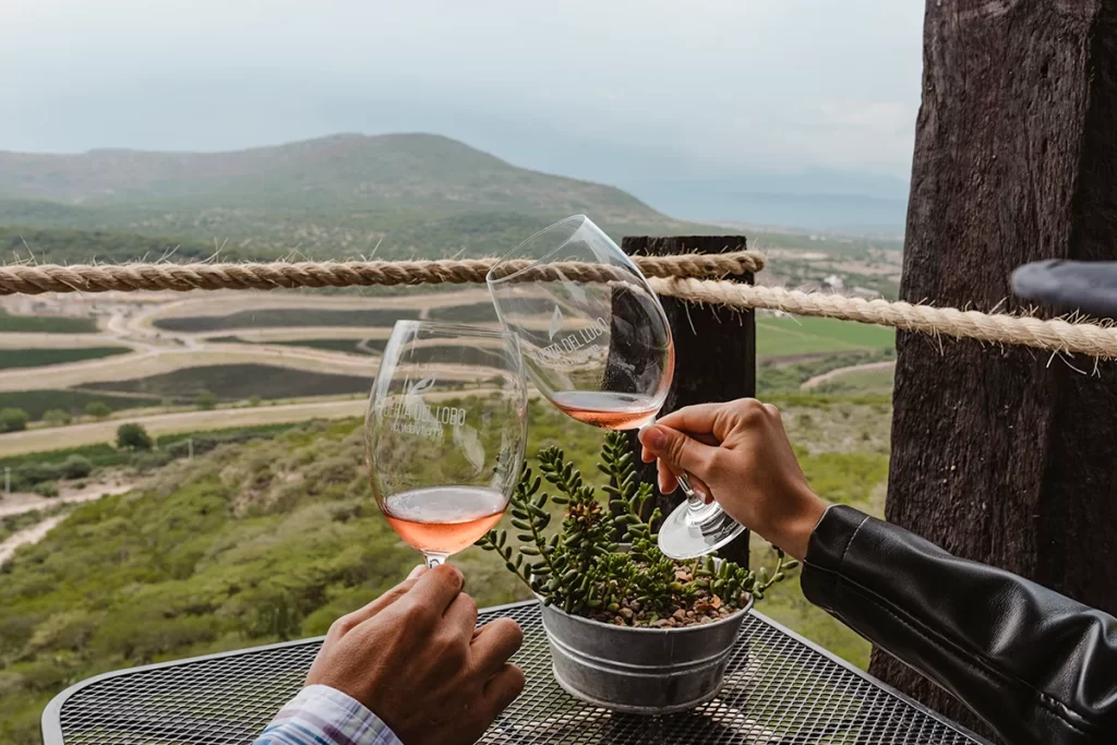 Puerta del Lobo uno de los viñedos en Querétaro más visitados