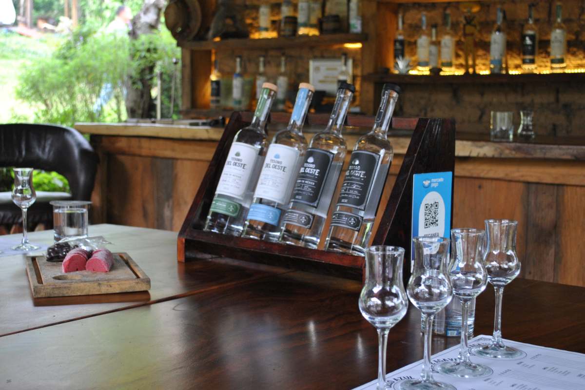Cata de raicilla de Tesoro del Oeste