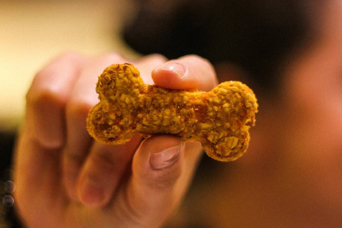 Che Che Café está ubicado en Santa María La Ribera, un restaurante petfriendly