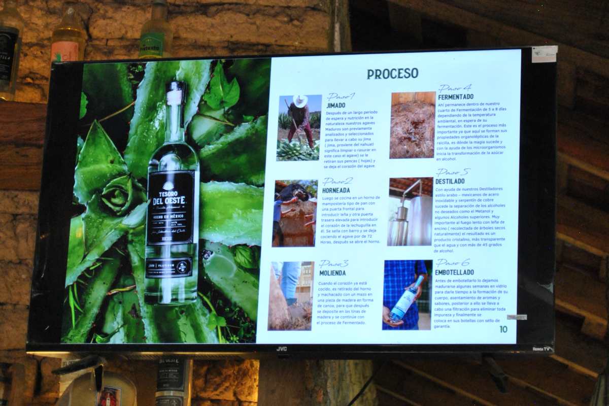 Raicilla Tesoro del Oeste