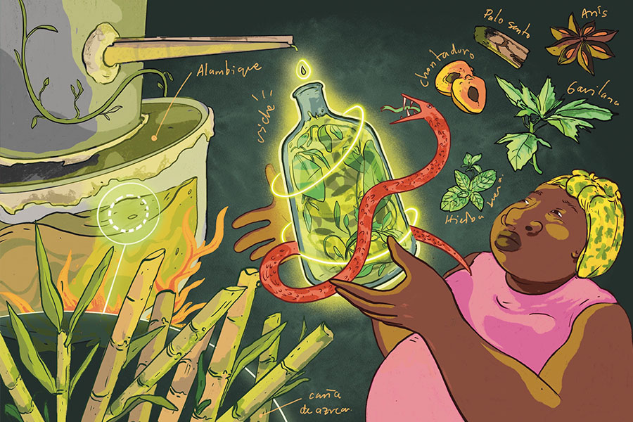 Relevancia cultural del viche 