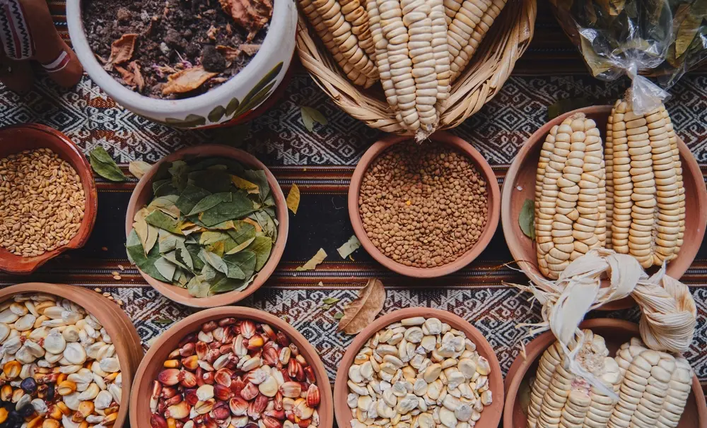 Gastronomía Peruana, múltiples ingredientes