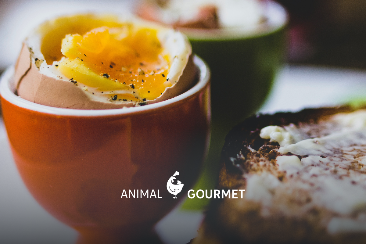 Los huevos tibios se colocan sobre un soporte y se casca la parte superior con delicadeza para comer los huevos pasados por agua directamente de la cáscara con una cuchara.