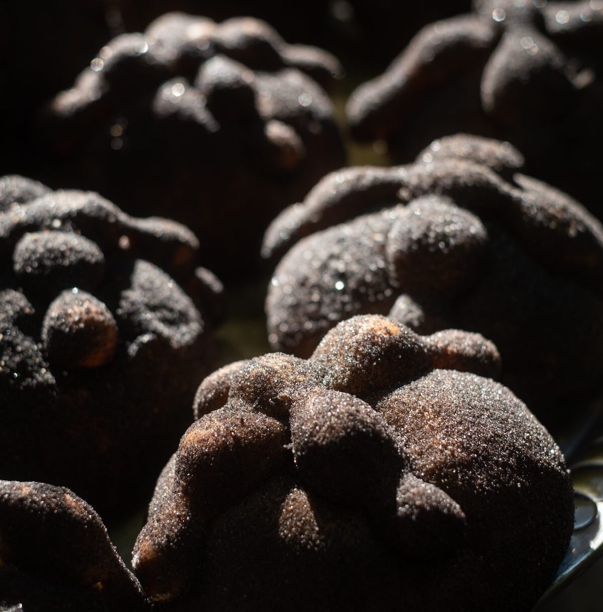 Cómo hacer pan de muerto negro con ceniza de totomoxtle