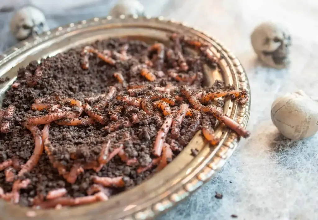 Terrario de gusanos postres de halloween