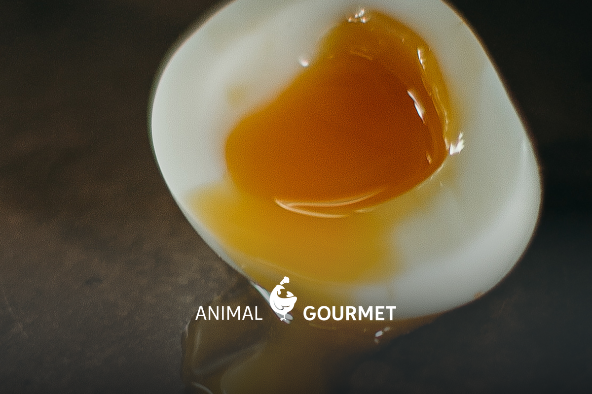 Consigue un huevo tibio perfecto conociendo los tiempos de cocción del huevo.