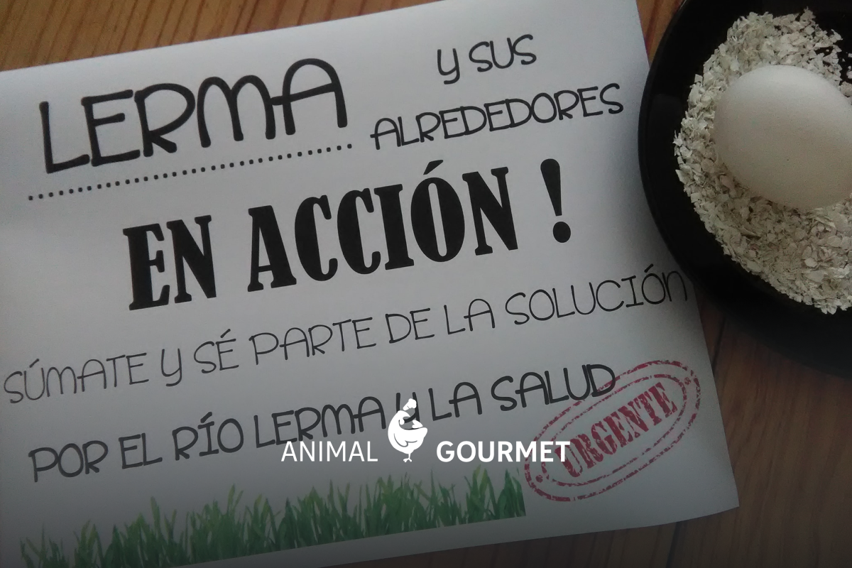 H2O Lerma busca más donaciones de cascarón de huevo para salvar nuestros ríos y aguas.