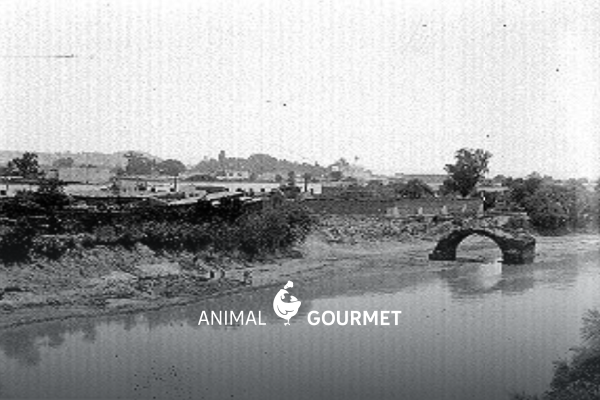 Río Lerma en el año de 1910