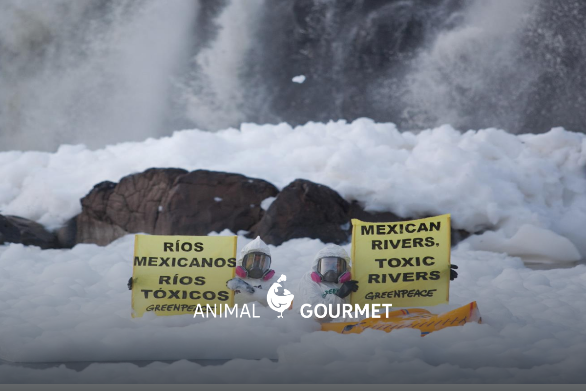Con cascarón de huevo buscan salvar pozos y el río Lerma de la contaminación.