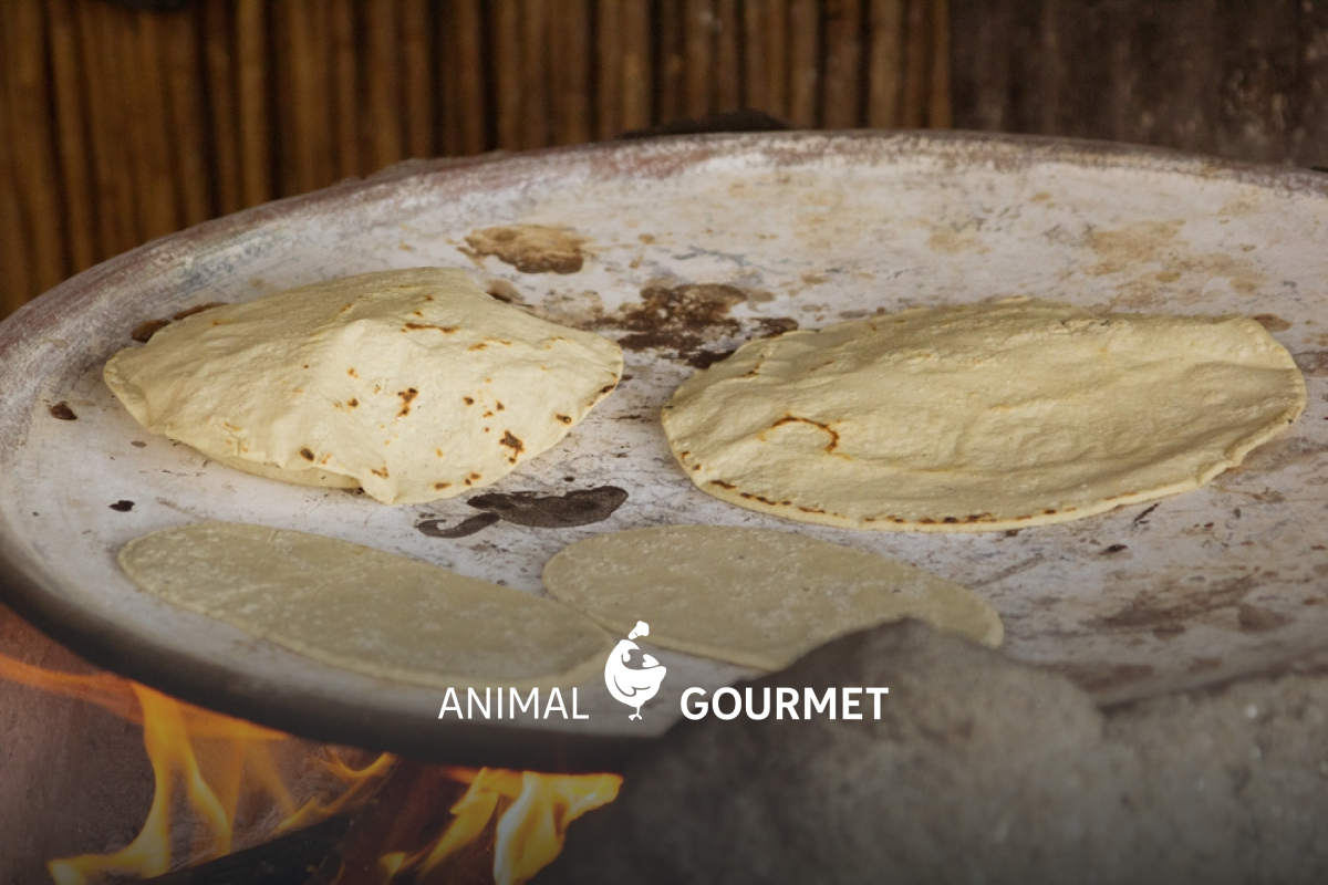Aprende a cómo hacer tortillas de maíz para tus tacos.