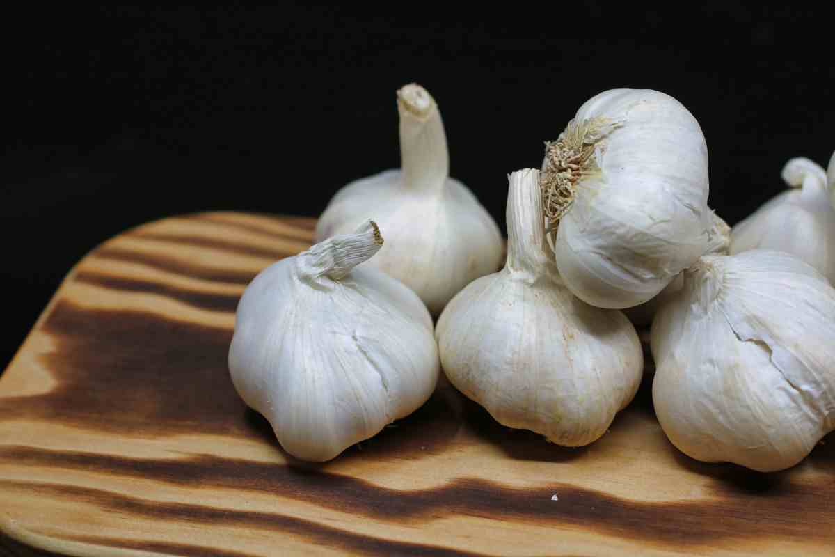 El ajo tiene propiedades diaforéticas, expectorantes, antiespasmódicas, antisépticas, antimicrobianas, hipotensivas y antihelmínticas.