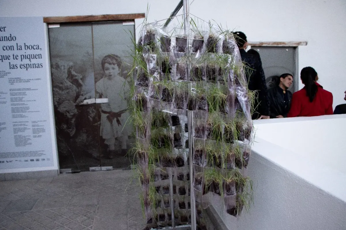 Pie de foto: Alexis Martínez Gutiérrez, Germination.