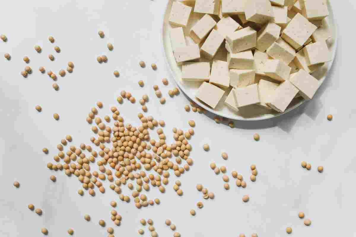 El tofu es un alimento popular derivado de la soja.