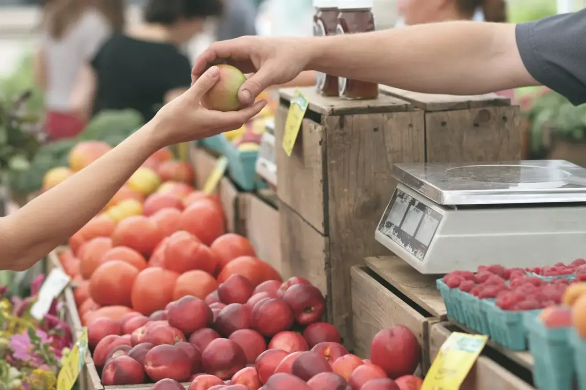 consumidor responsable para proteger alimentos mexicanos en peligro de extinción