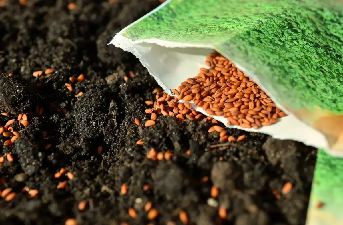 como proteger productos en peligro de extinción