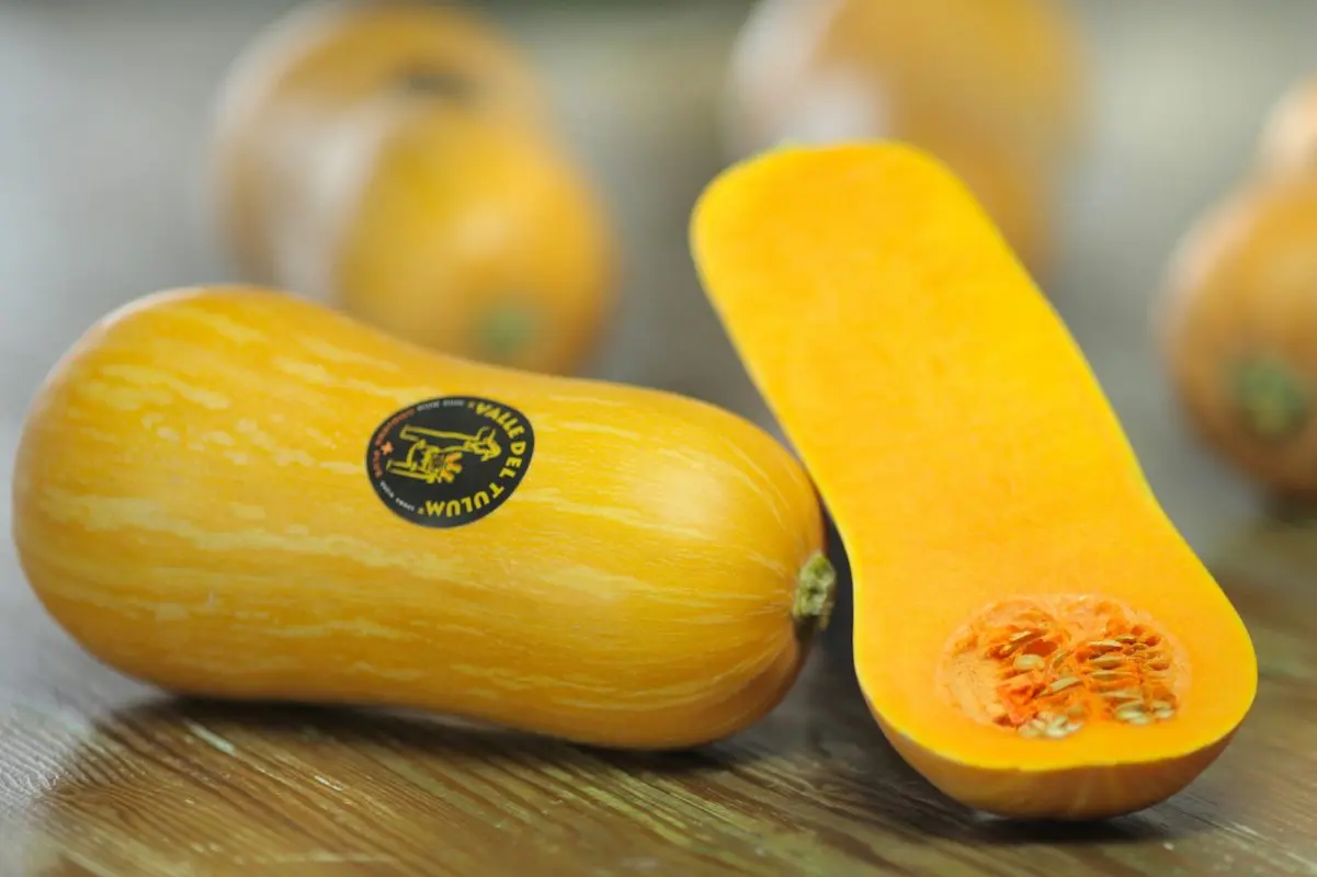 comida típica  de Argentina