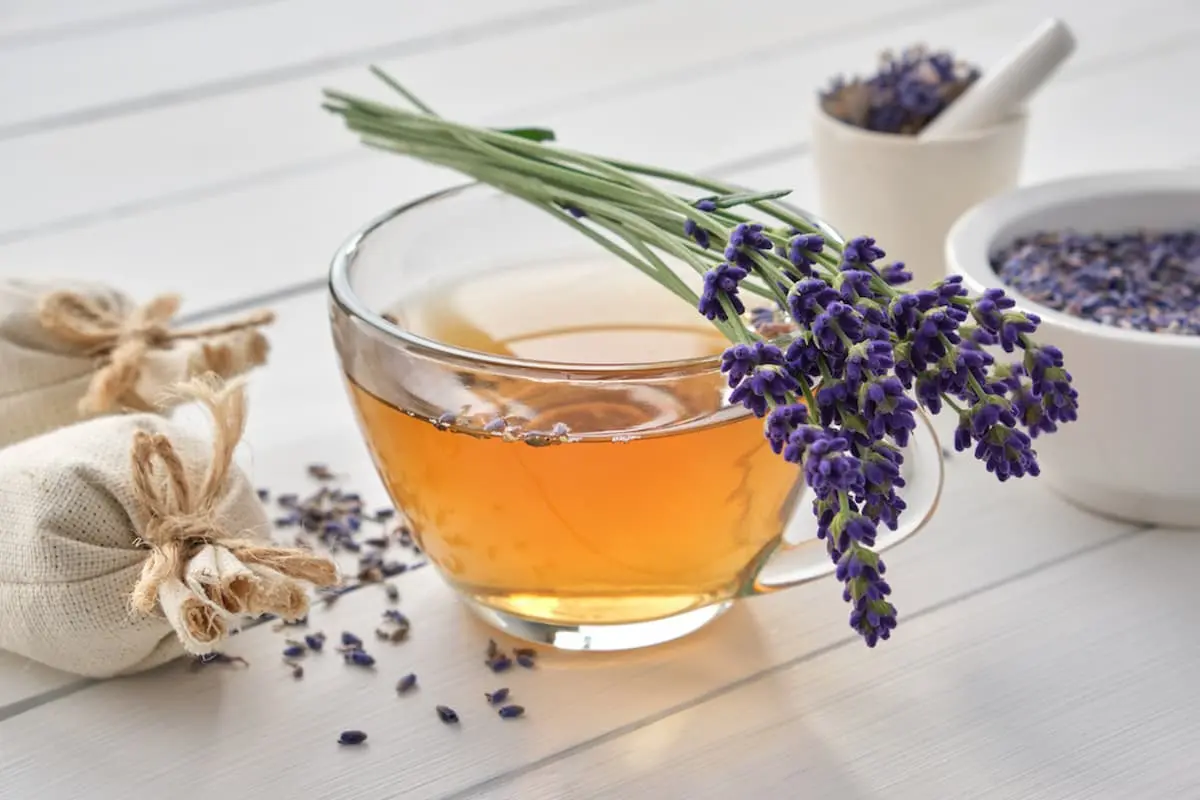 Lavanda inglesa