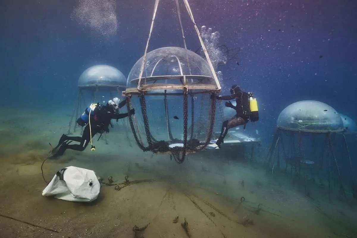 Proceso de cosecha en el Jardin de Nemo invernadero subterráneo