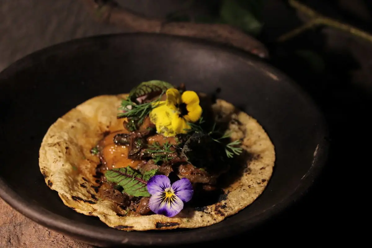 restaurante de hongos Tencüi santa maría la rivera