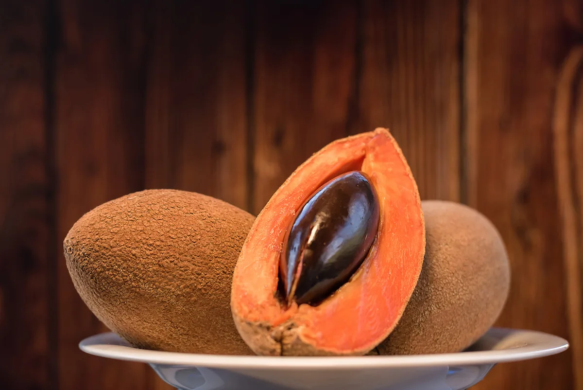 Semillas de frutas: mamey pixtle se usa para bebidas tradicionales mexicanas