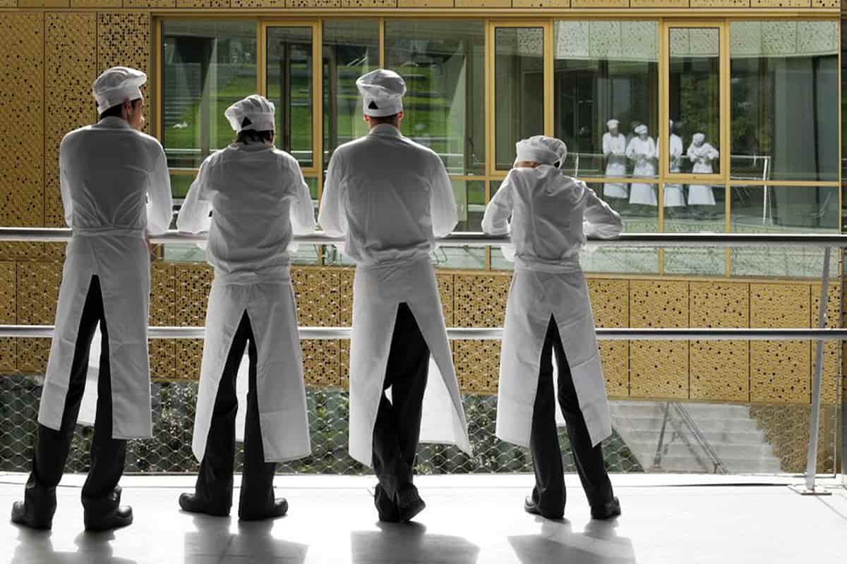 carrera de gastronomía