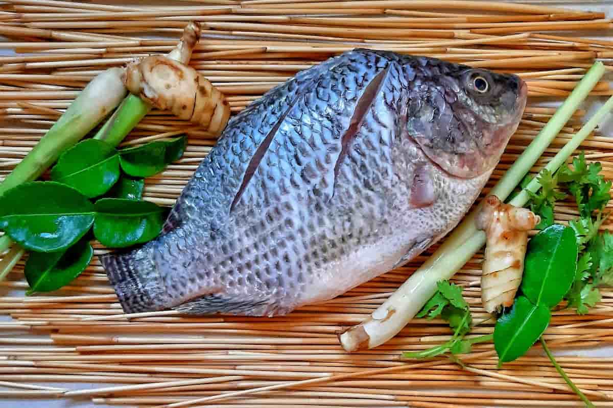 cómo preparar la tilapia