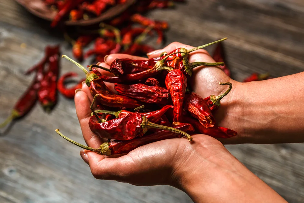 Chile ocho pilares de la gastronomía mexicana