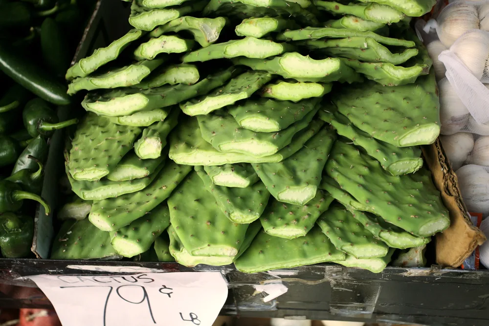 Cómo conservar los nopales congelados por más tiempo