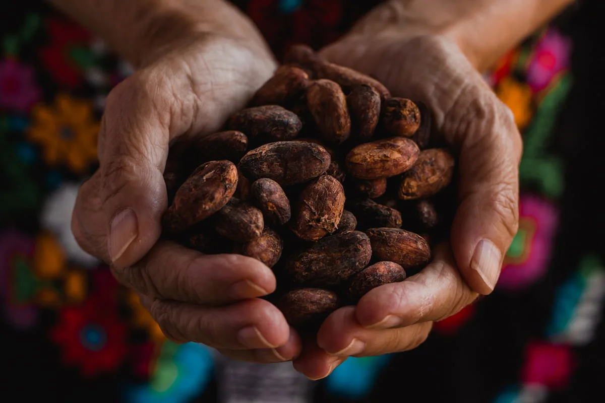 Xocolat palabras en náhuatl que seguimos usando en la cocina
