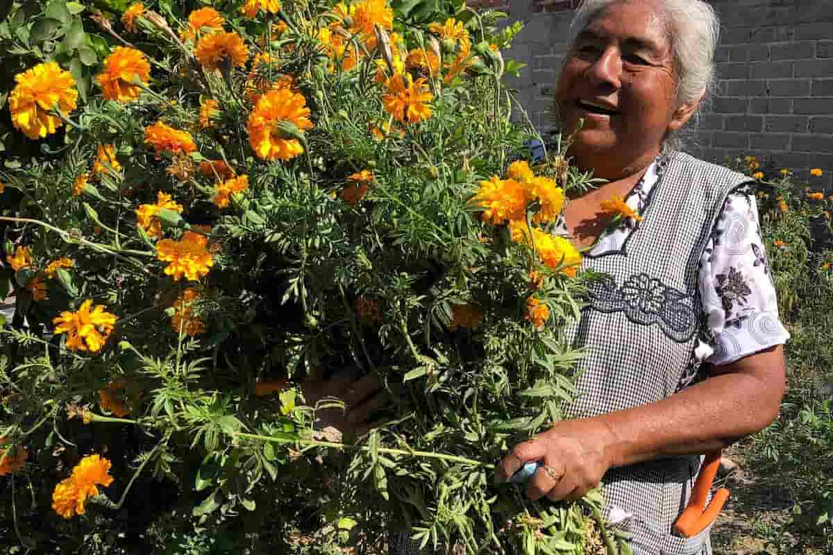 Sherbet una heladería dirigida solo por mujeres