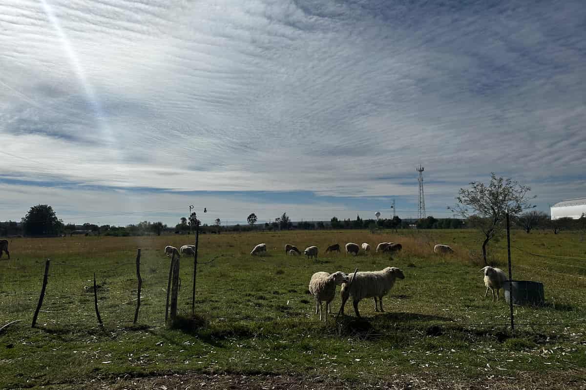 Rancho Santa Marina una experiencia de turismo rural en Querétaro