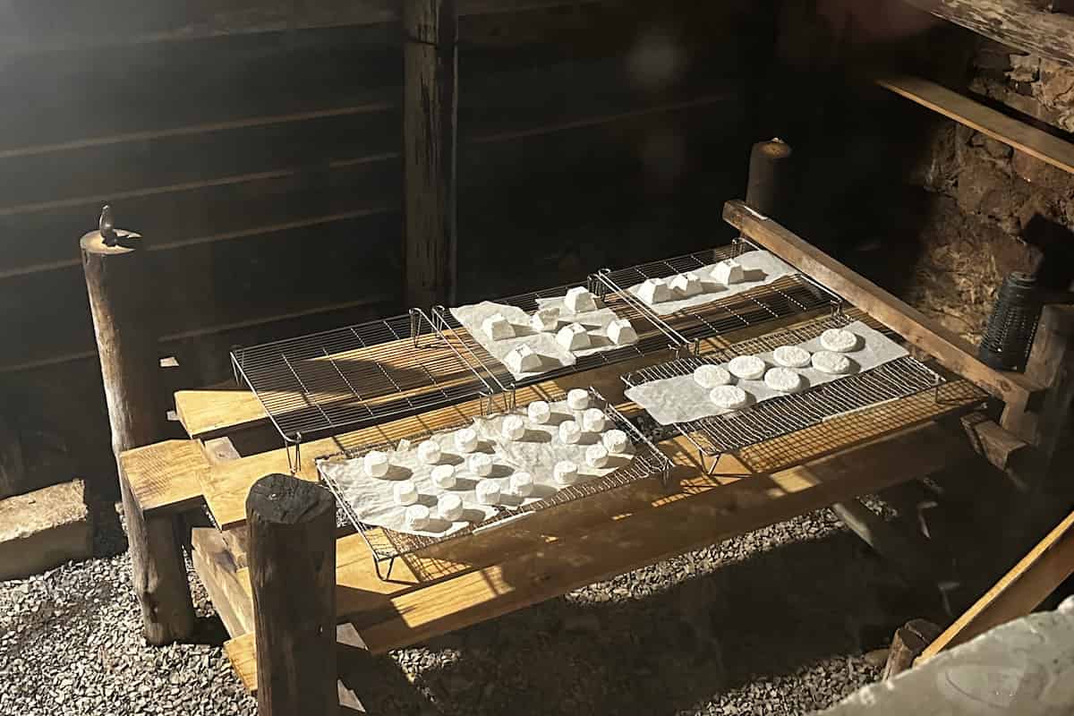 quesos maduros en Querétaro