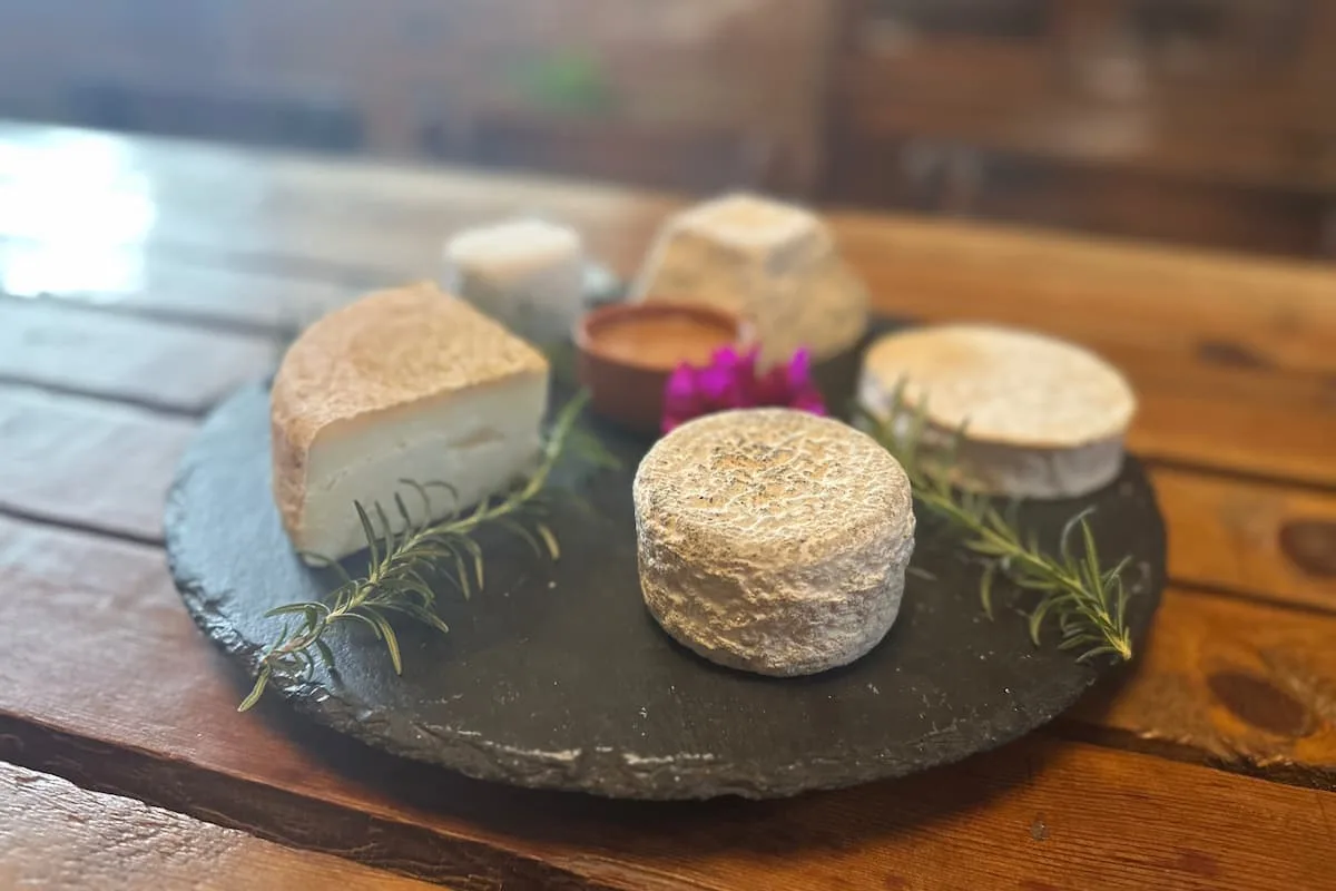 ¿Dónde comer quesos en Querétaro? Rancho Santa Marina