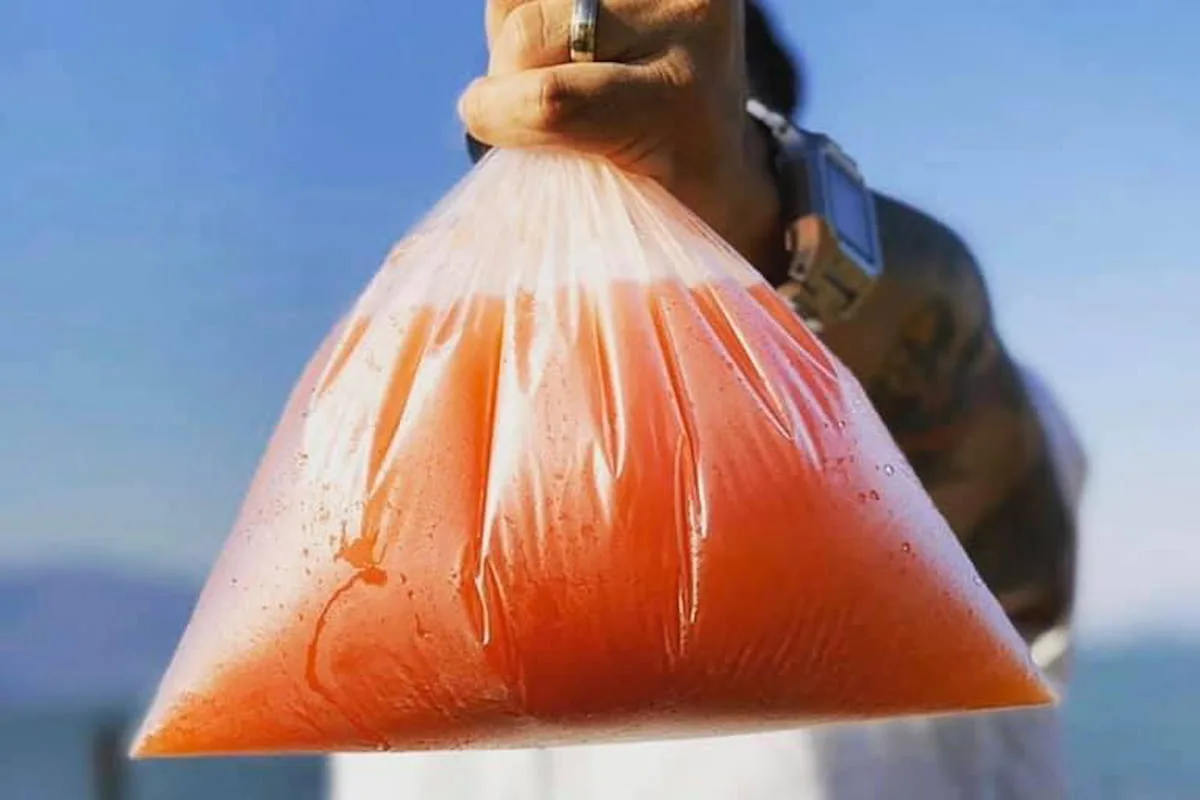 Qué hacer en Chapala