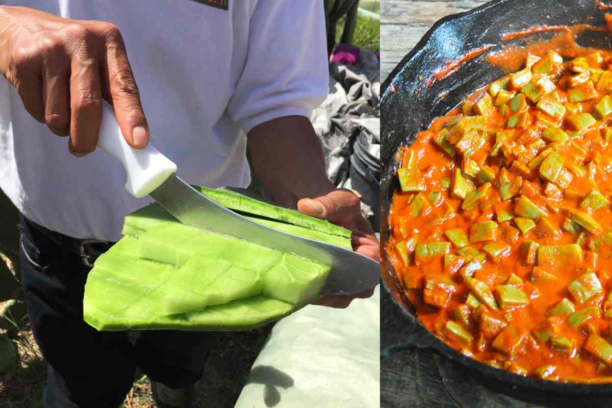 El corazón de nopal se puede preparar con carne de puerco o sin ella.