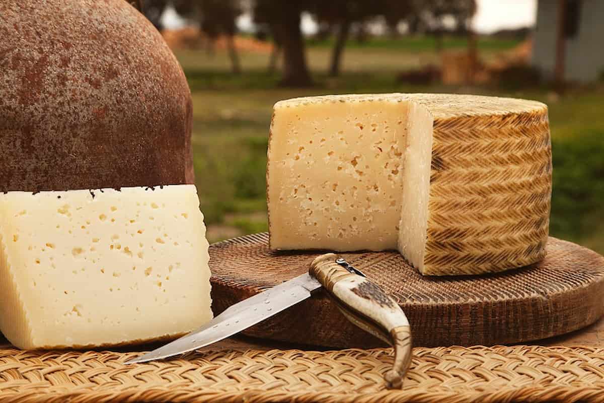 qué tipo de queso es el manchego