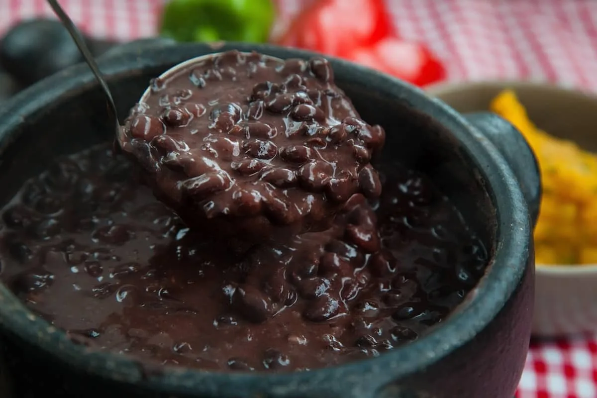  El frijol es una de las leguminosas más importantes para el consumo humano, ya que es una fuente esencial de proteínas y minerales vegetales