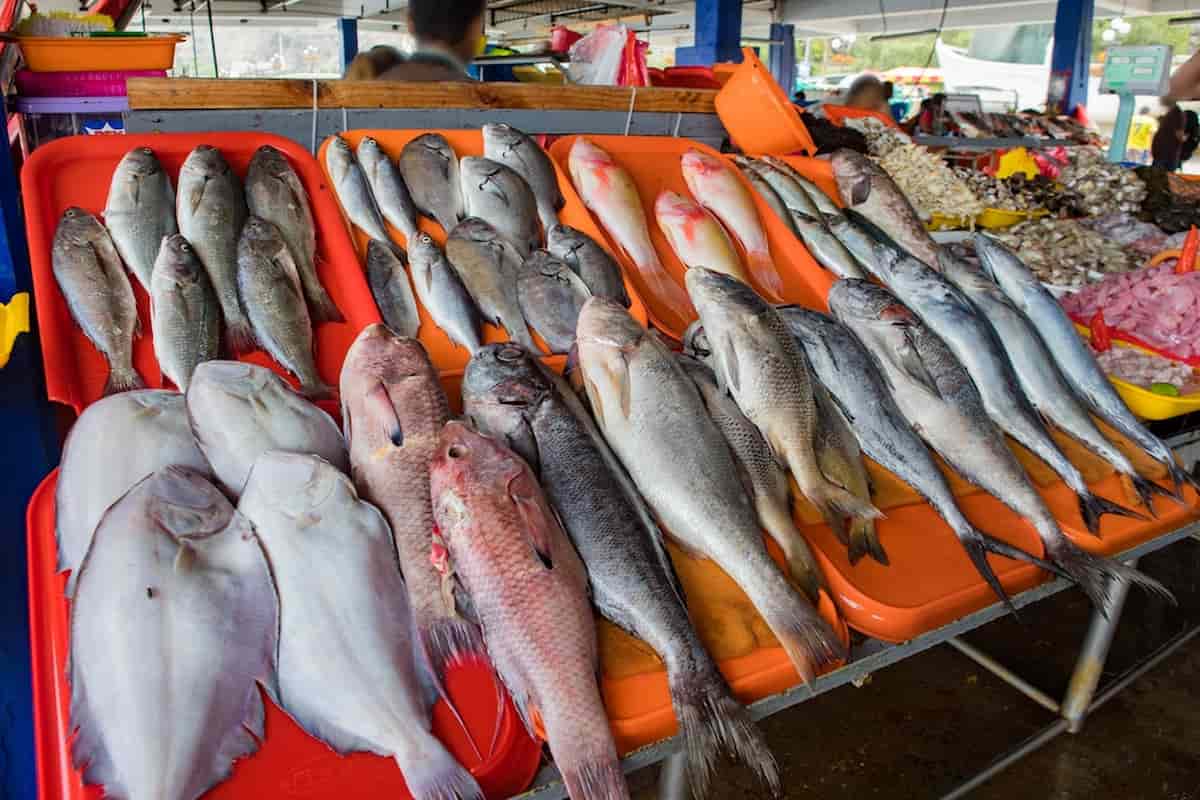 La Viga es el paraíso para los amantes del marisco y pescado.