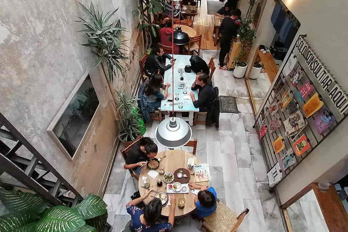 arte y comida en cdmx