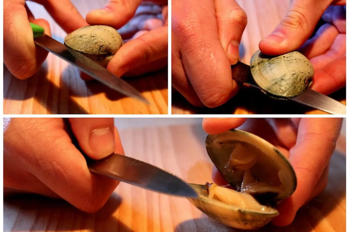 el paso a paso para abrir una almeja