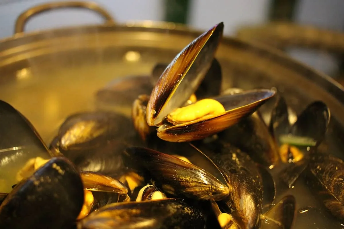 cómo limpiar y abrir los mejillones de forma efectiva