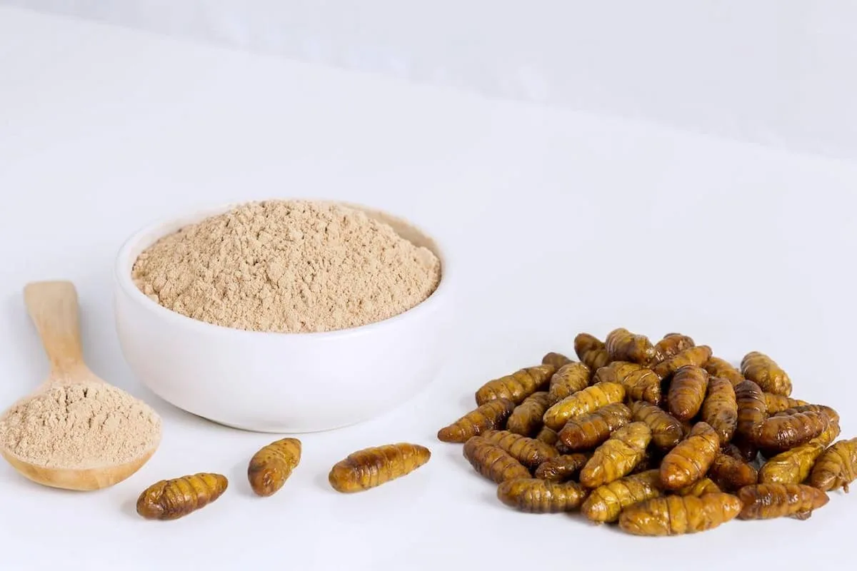 alimentos altamente proteicos