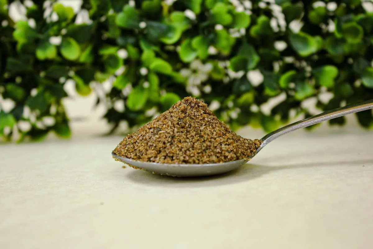 insectos el alimento del futuro