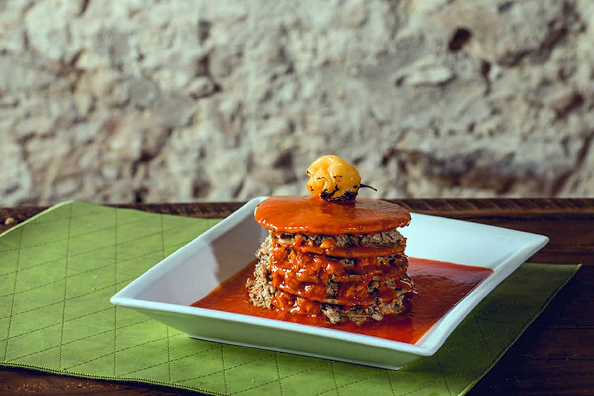 qué es el cazón, es una especie de tiburón de pequeño tamaño