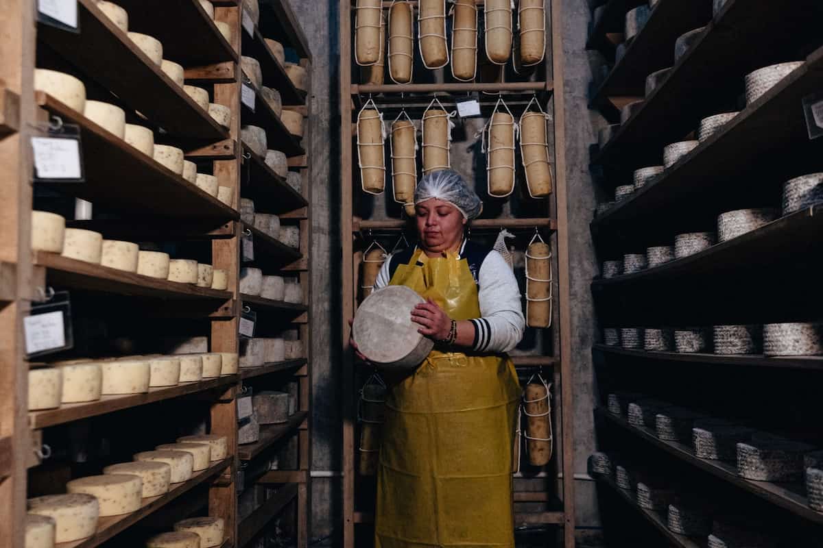 la mejor cava de quesos en todo México