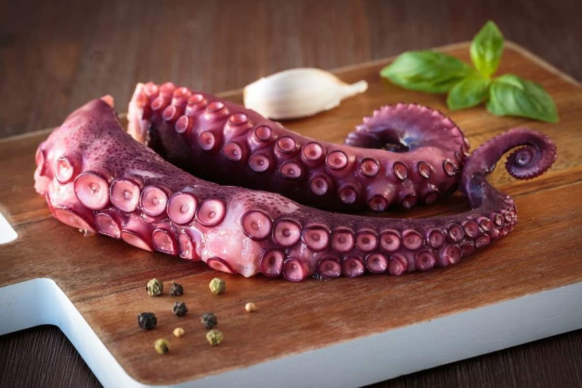 cómo hacer pulpo precocido