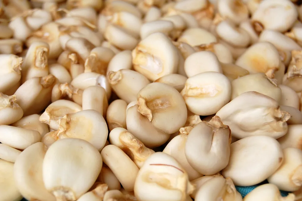 El maíz cacahuazinte (o maíz pozolero) es una variante más blanca y gruesa de maíz, con el que se hace el pozole. 