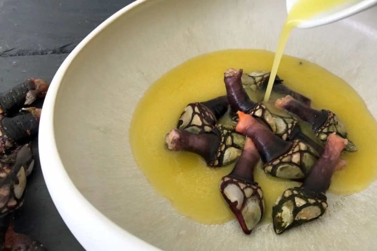 receta de percebes